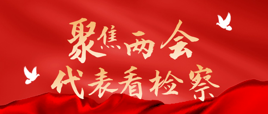 吉林省人大代表唐维：推进法治宣传“进村入户”，助力绘就和美乡村新画卷